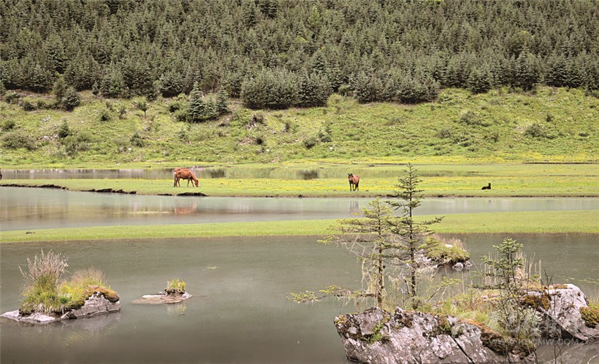 去甘孜 邂逅絕美湖泊海子！